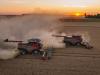 Case IH AF 10
